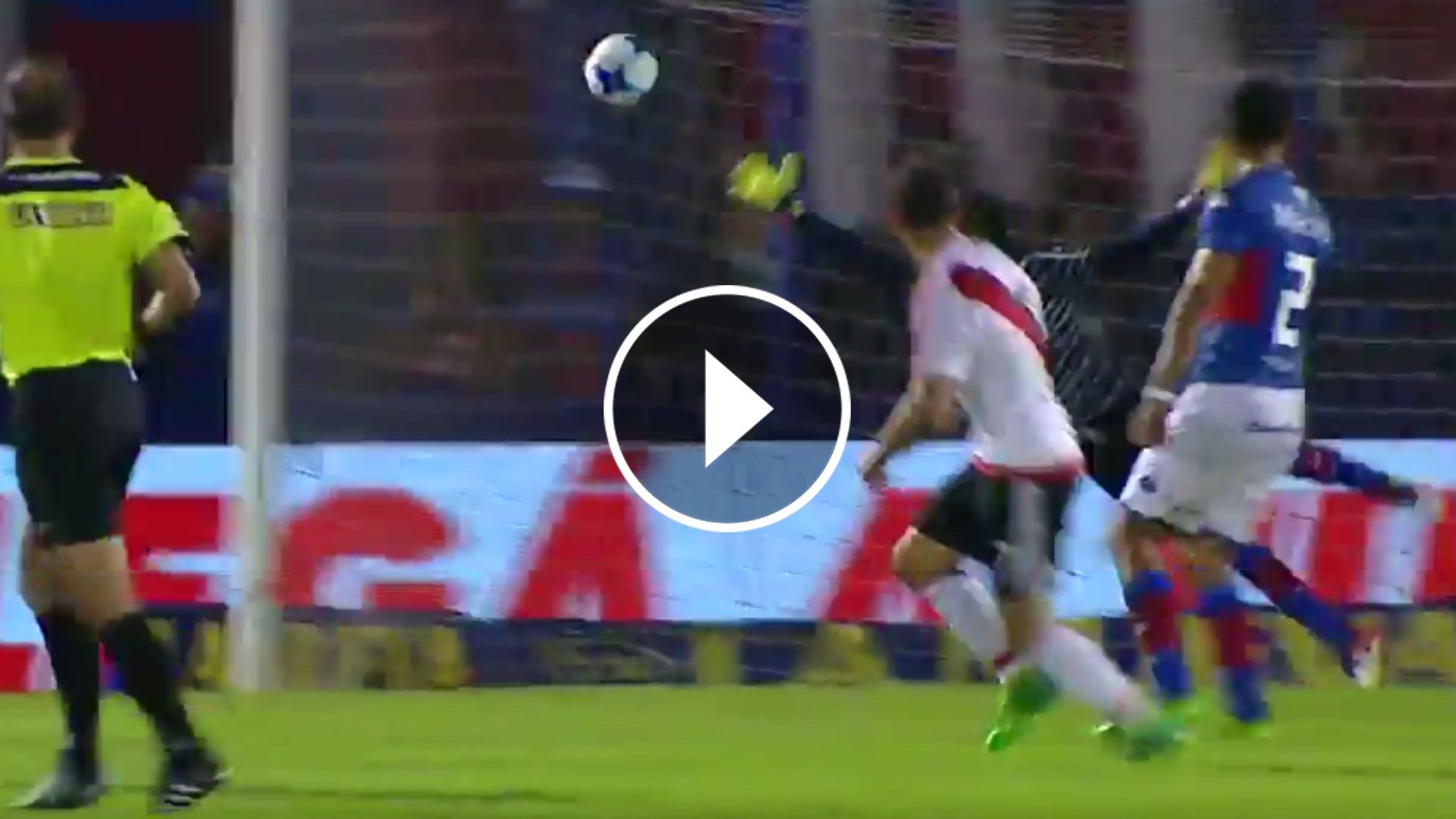 Video Mora River Tigre