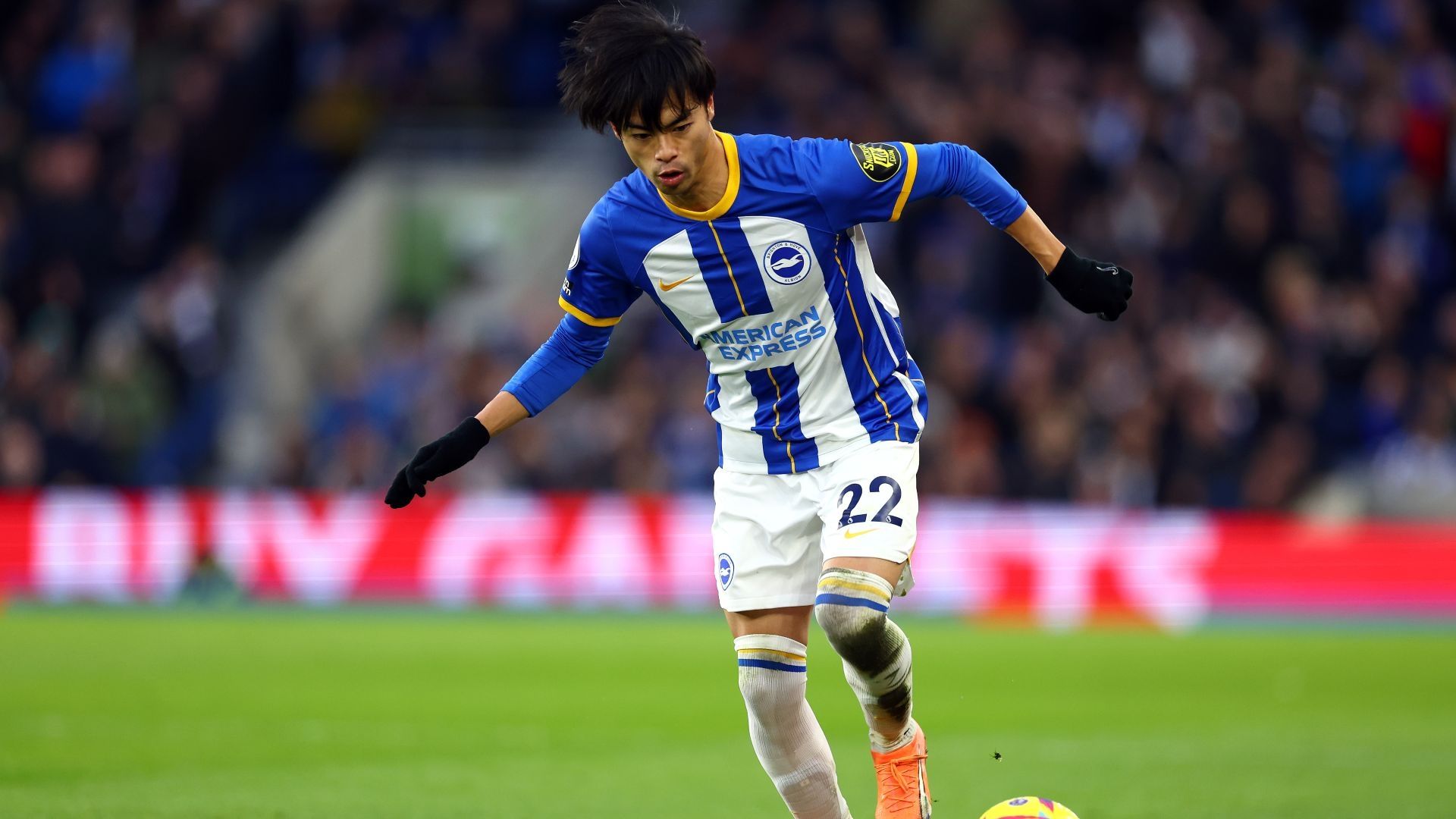 20230205 Kaoru Mitoma