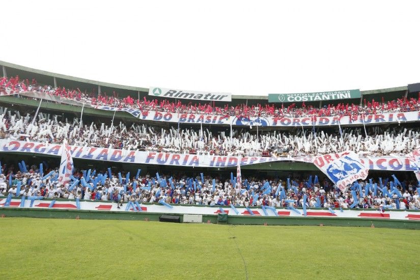 Torcida Paraná