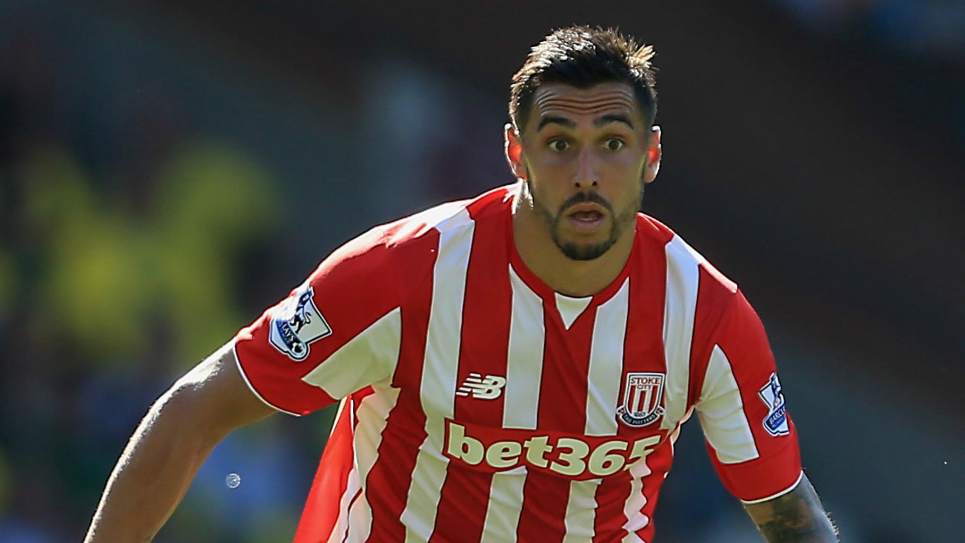 Geoff Cameron Stoke City 08222015