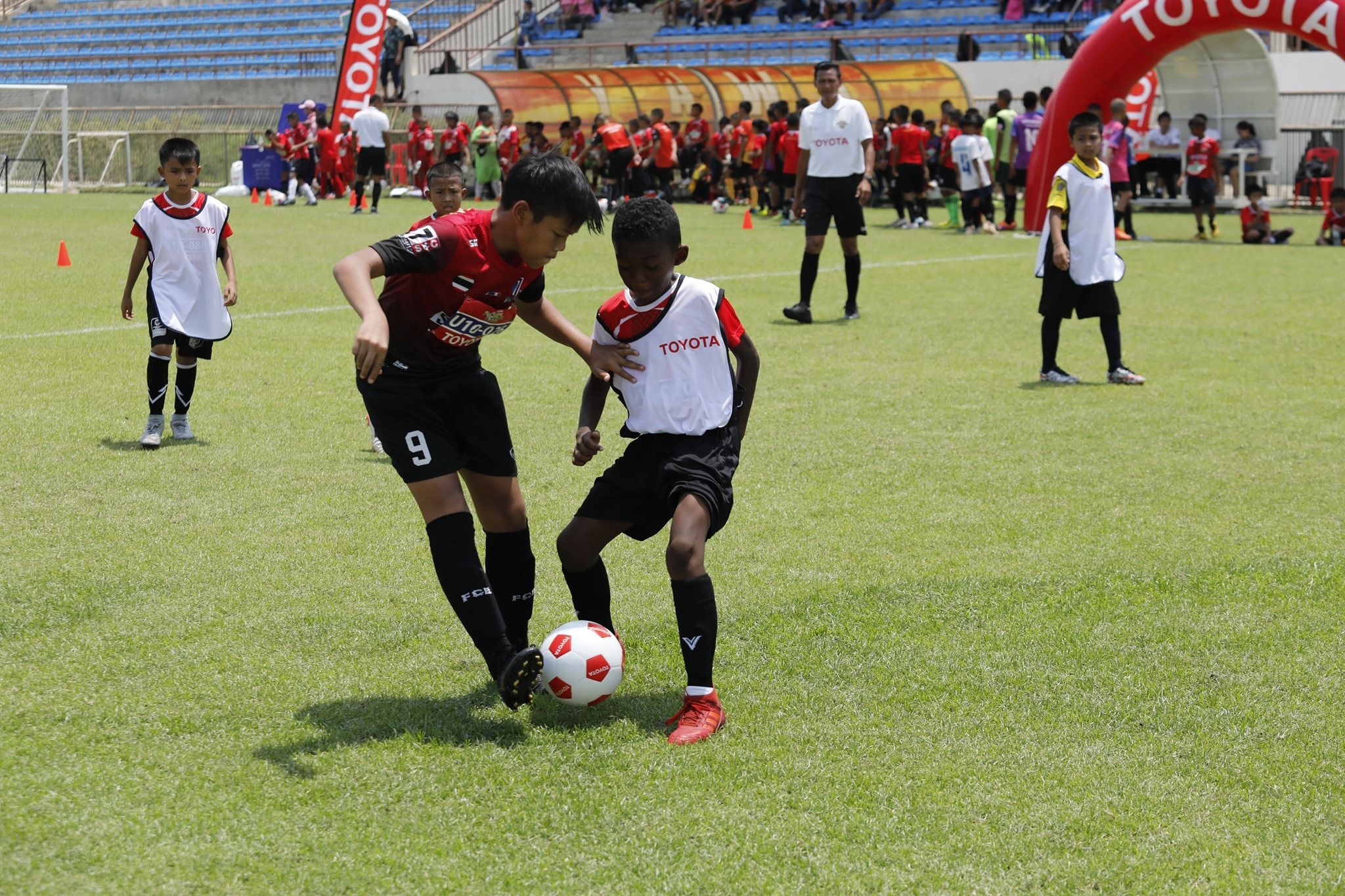 กวิน ดิโรมีโอ