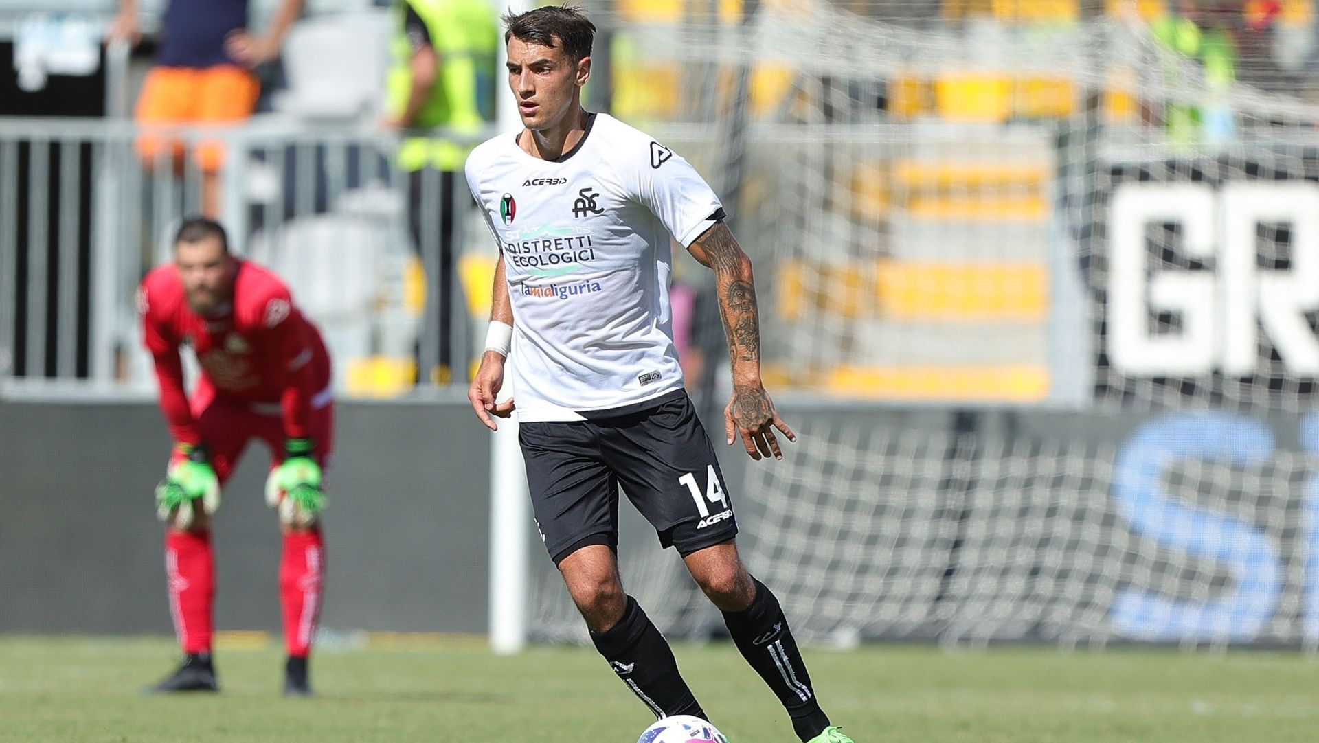 kiwior spezia