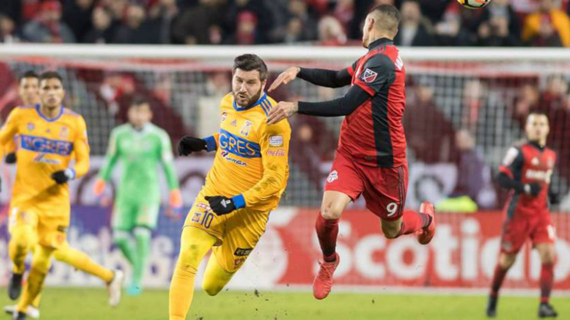 Tigres Toronto FC André-Pierre Gignac 130318