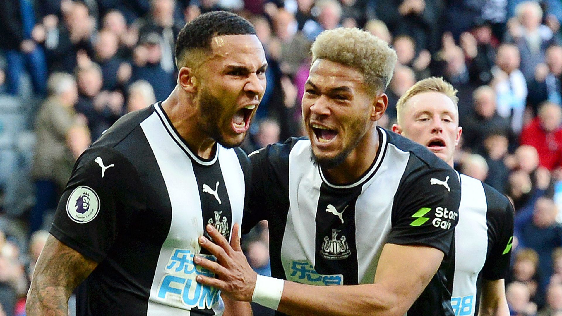 Jamaal Lascelles Newcastle 2019-20
