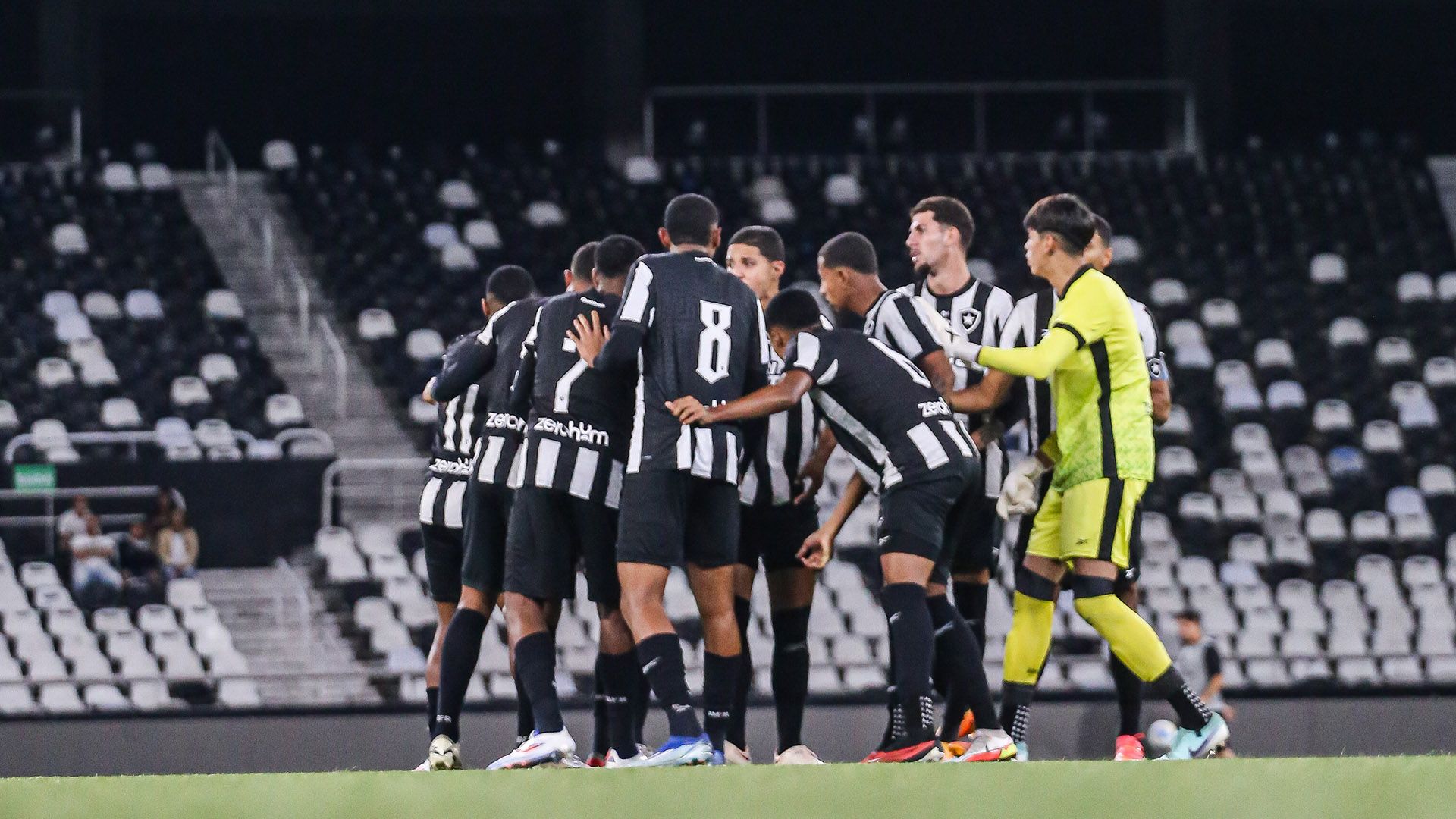 Botafogo sub-20 2024