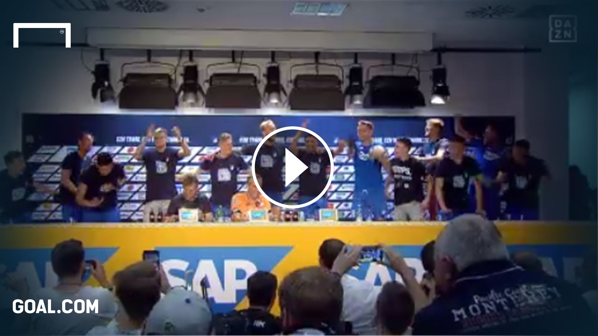 GFX Playbutton Hoffenheim