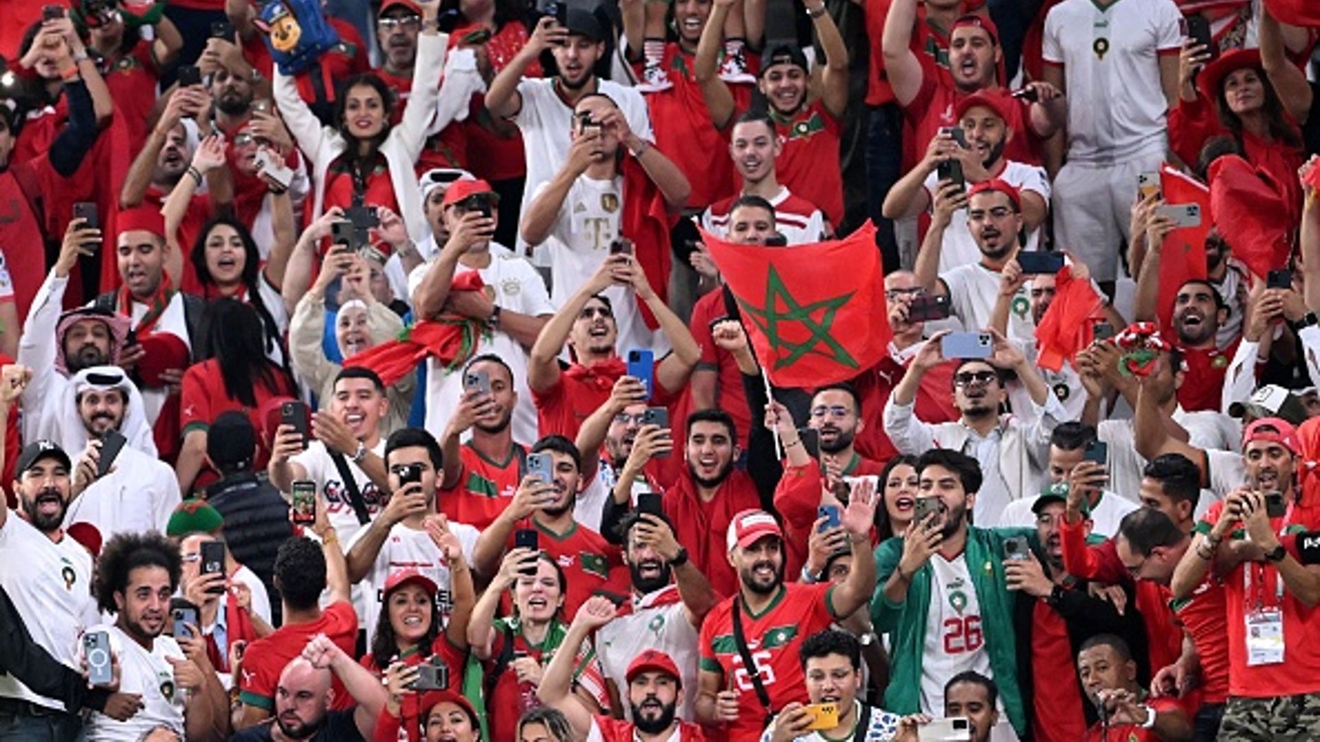 morocco spain world cup 2022 fans