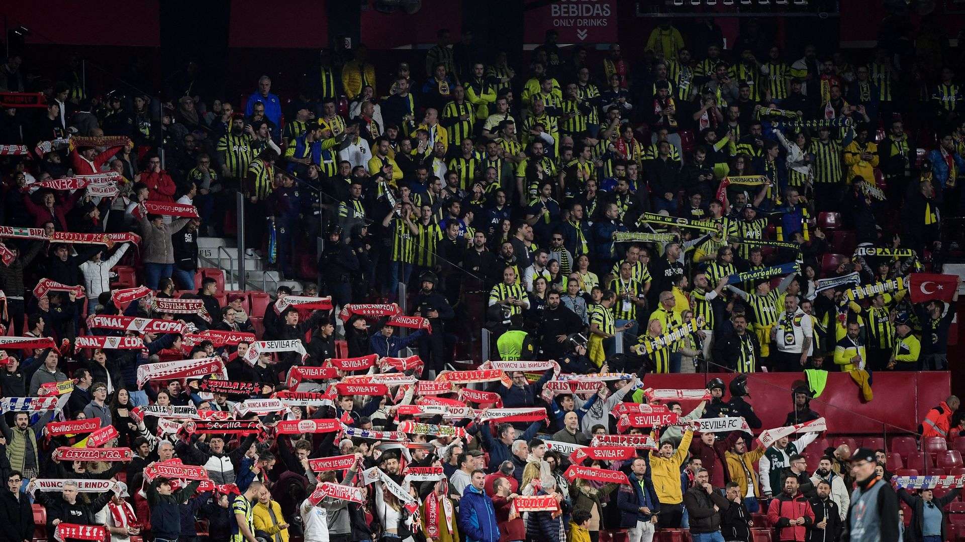 Fenerbahce taraftari