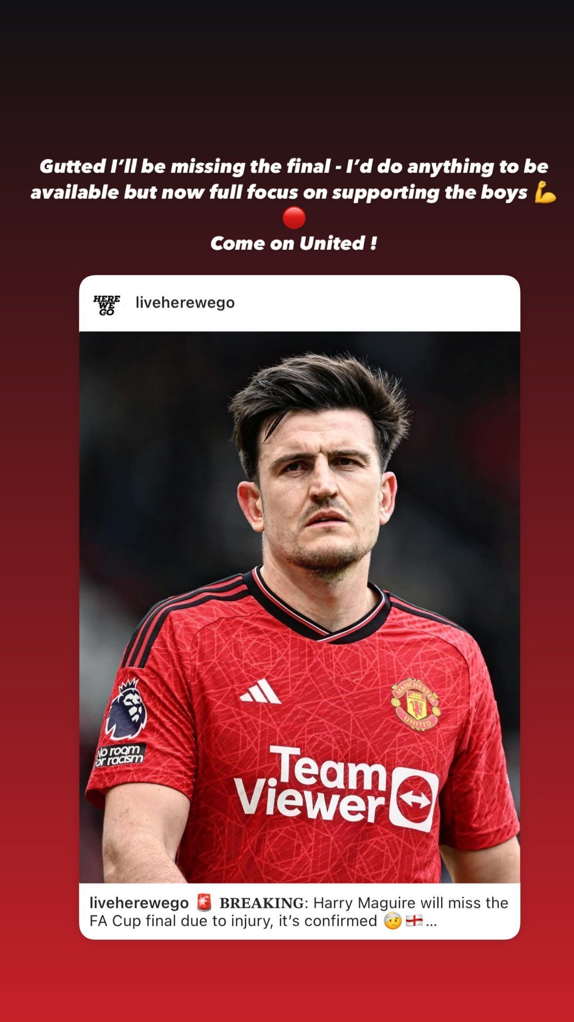 Harry Maguire story