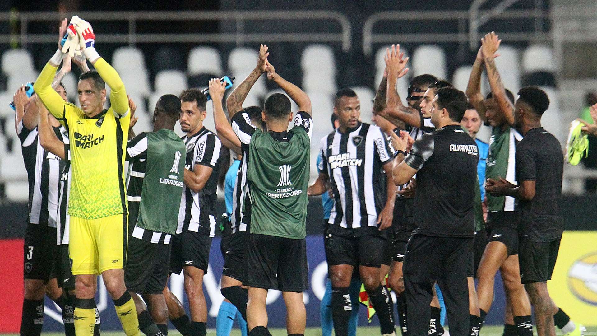 Botafogo, Libertadores 2024