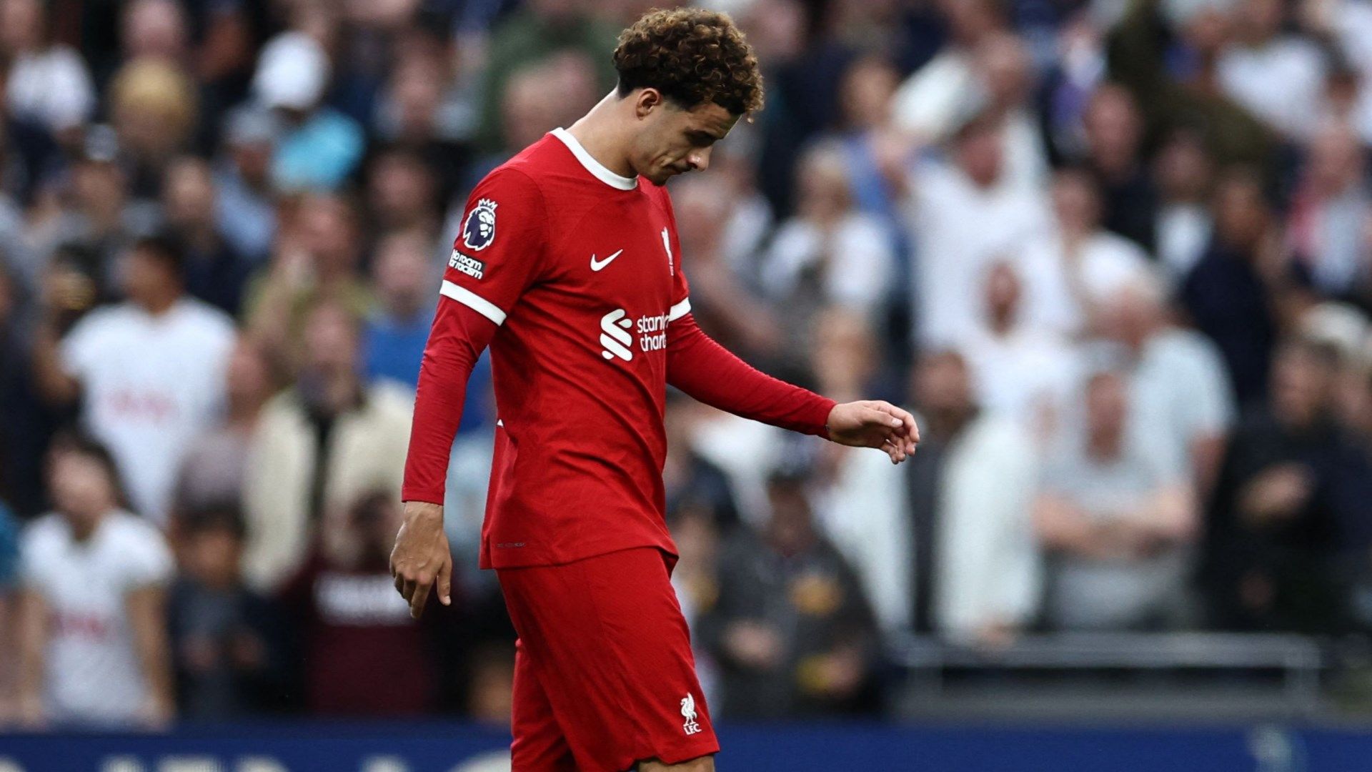 Curtis Jones Liverpool 2023-24