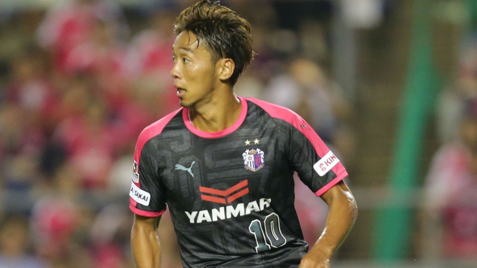cerezo03.jpg