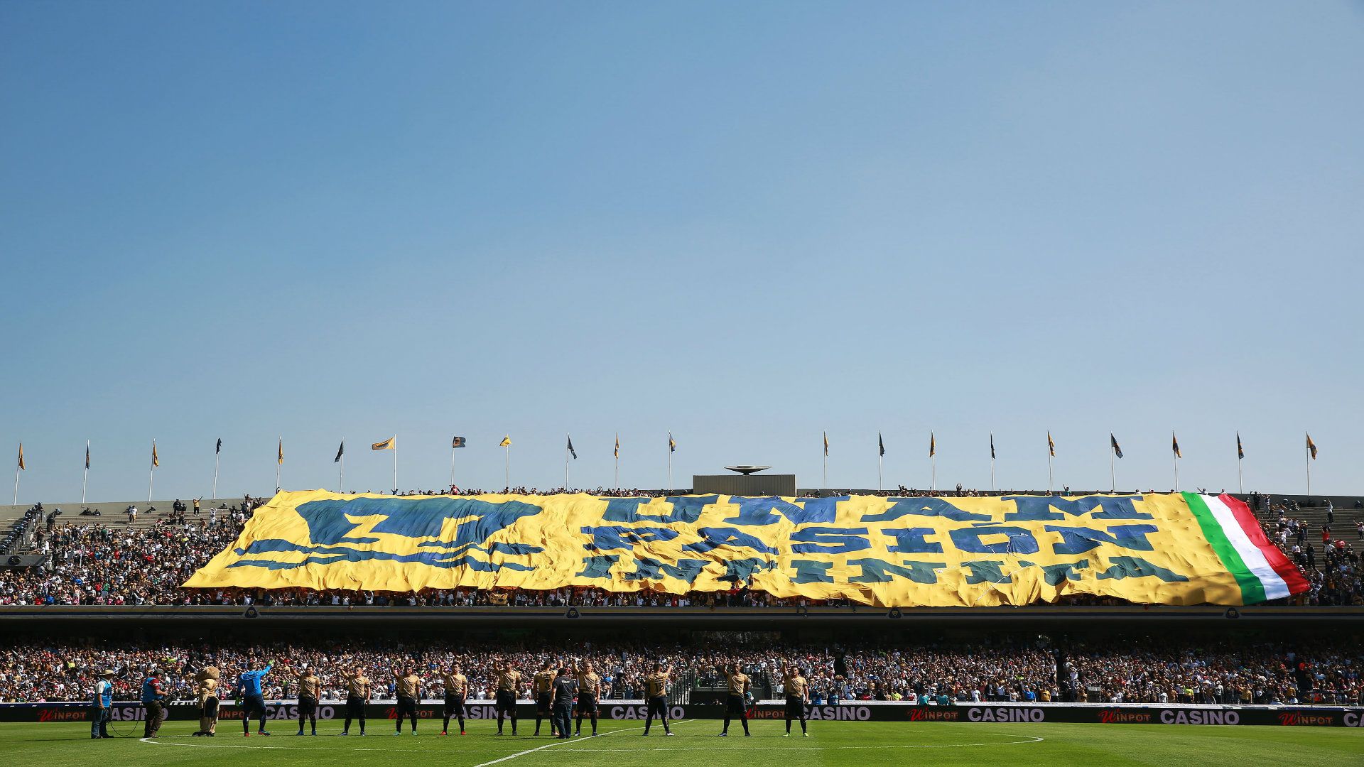 Pumas 1-0 Veracruz 29/11/2015