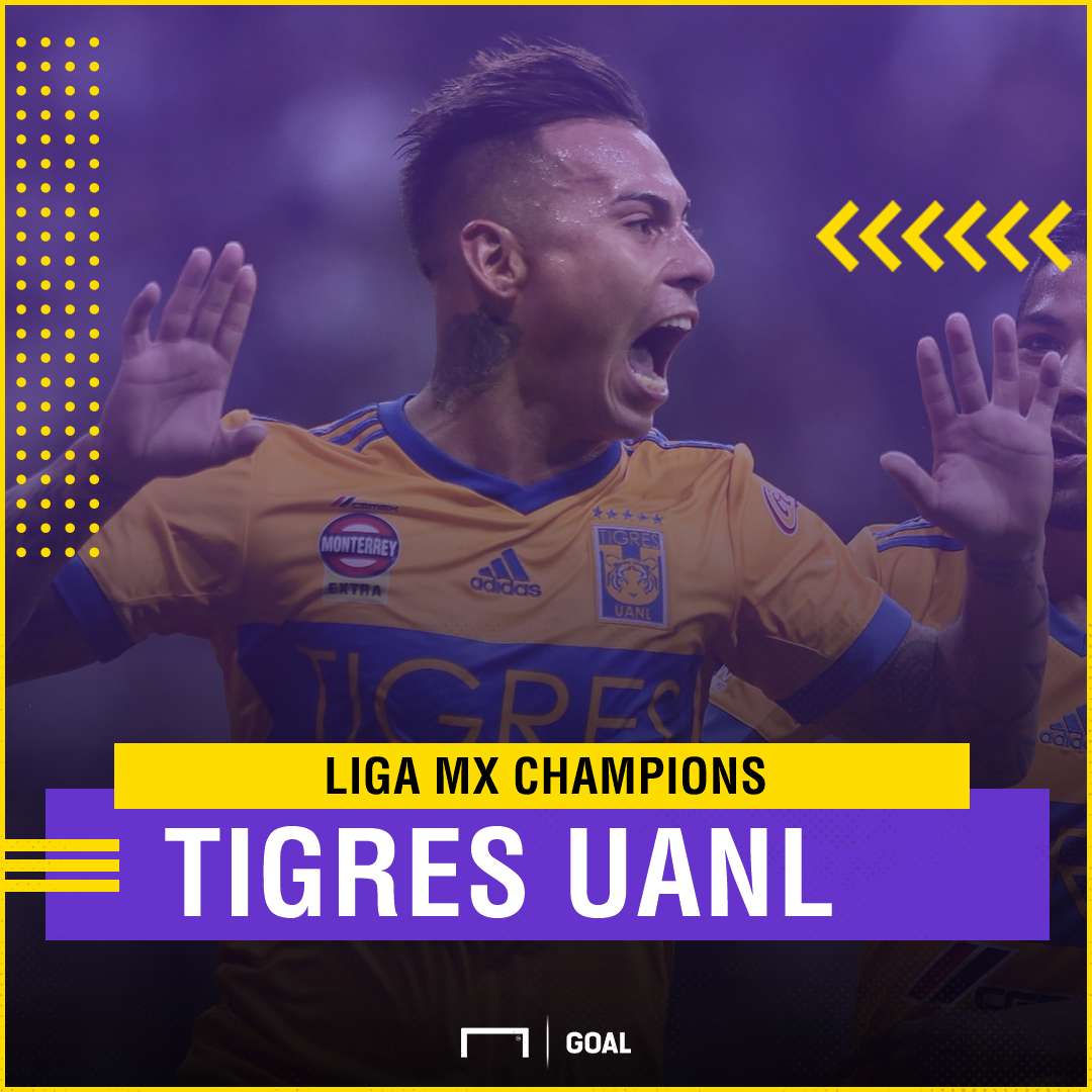 Tigres Liga MX champion GFX
