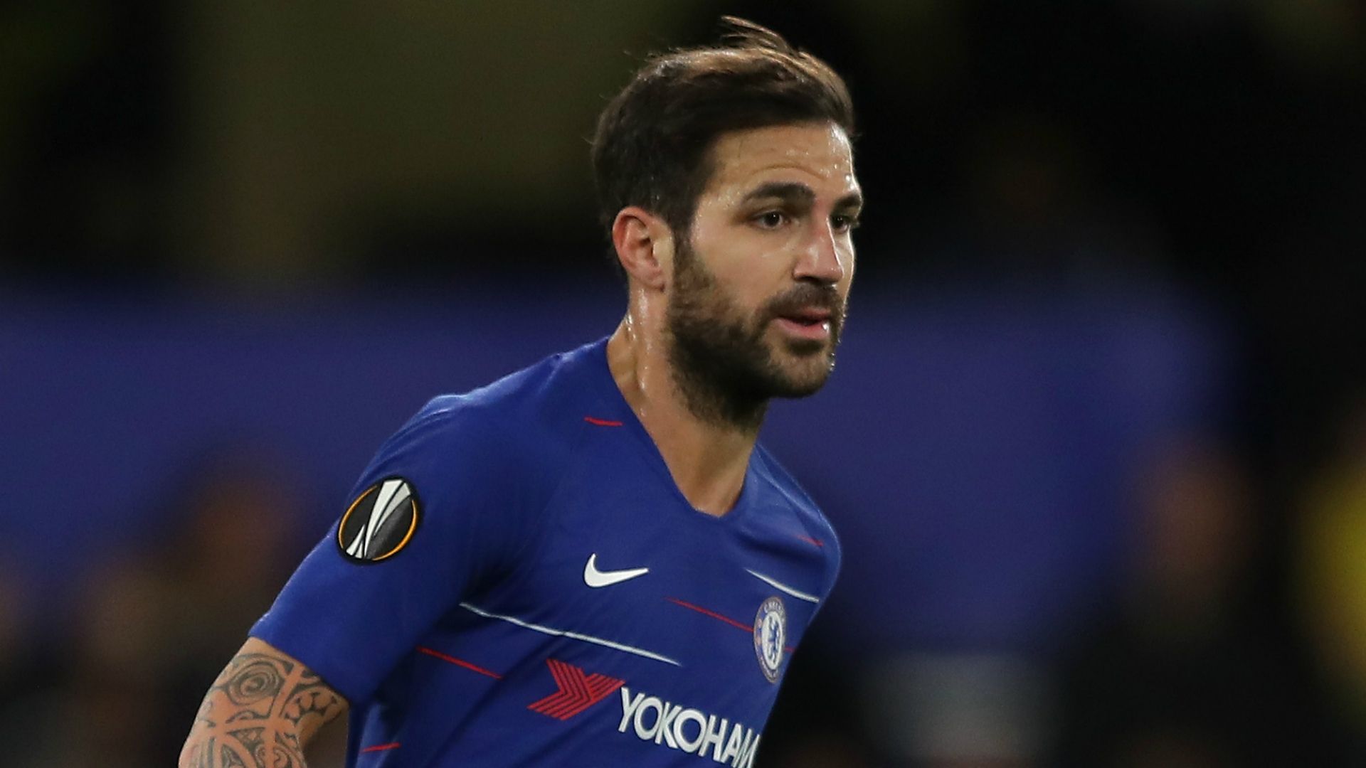 cesc fabregas - cropped
