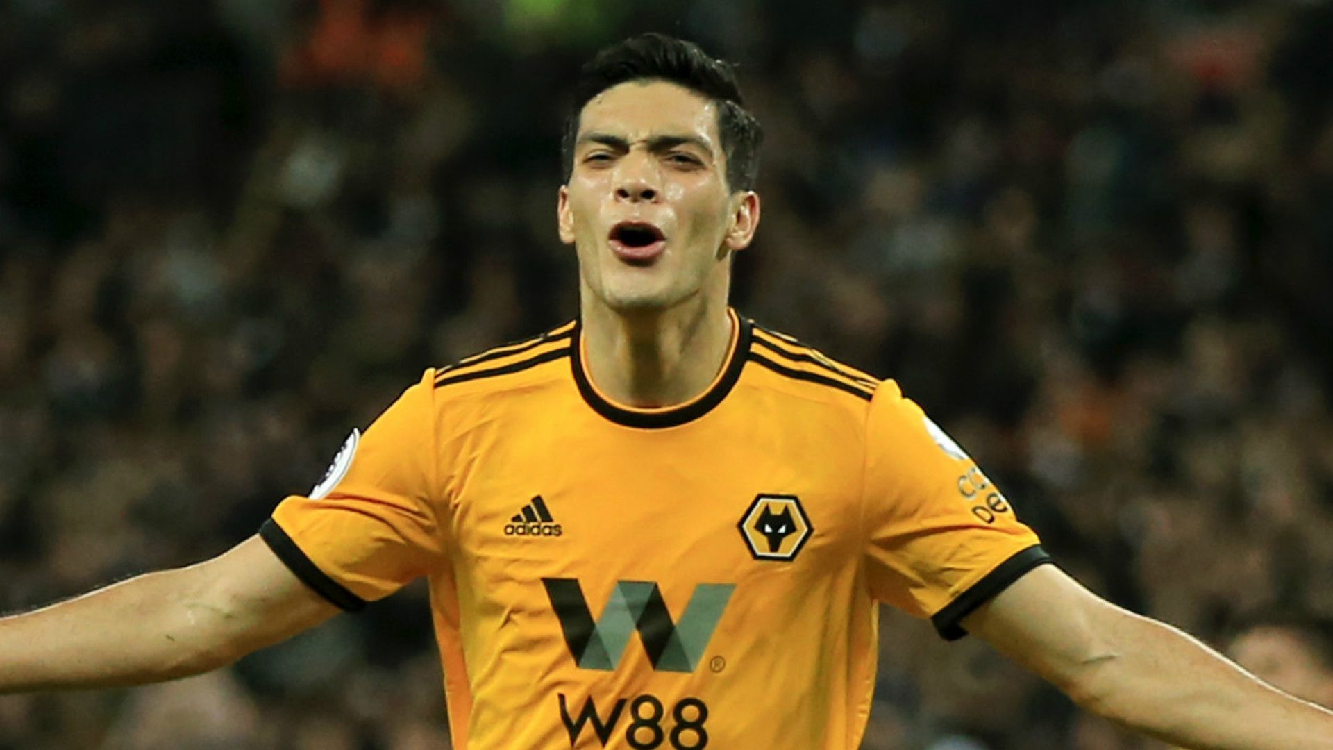 Raul Jimenez Wolves 2018-19