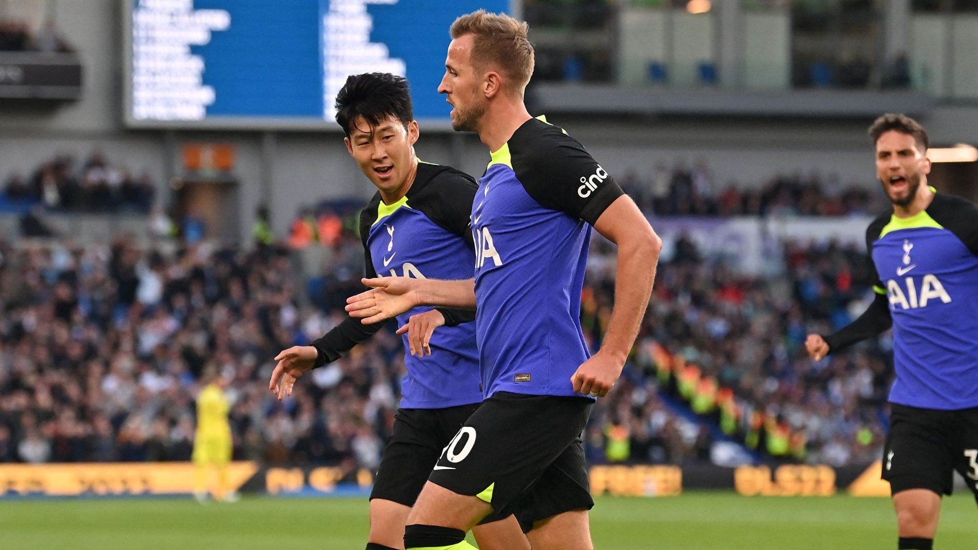 Kane Brighton Tottenham