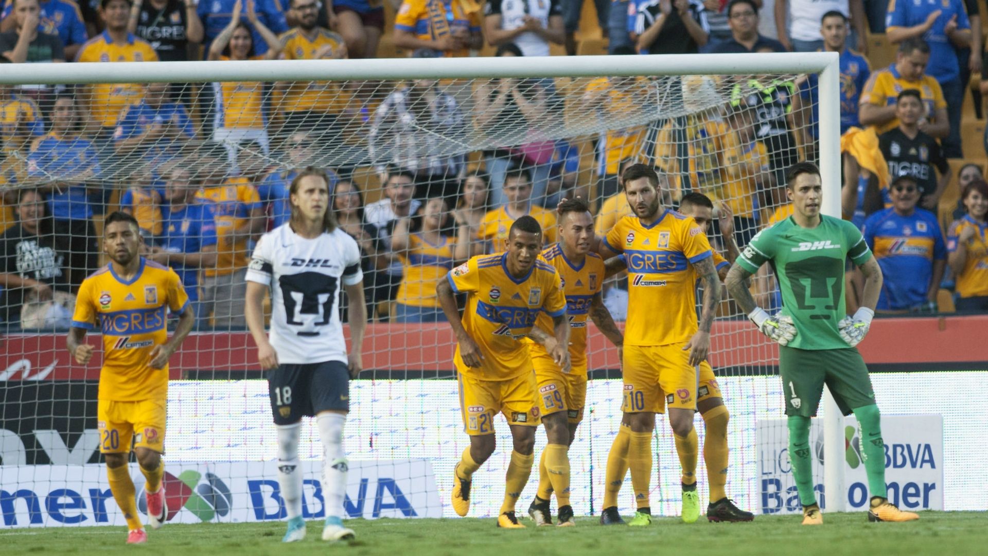 Tigres Pumas