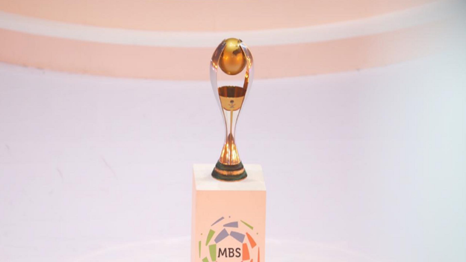 الدوري السعودي للمحترفين