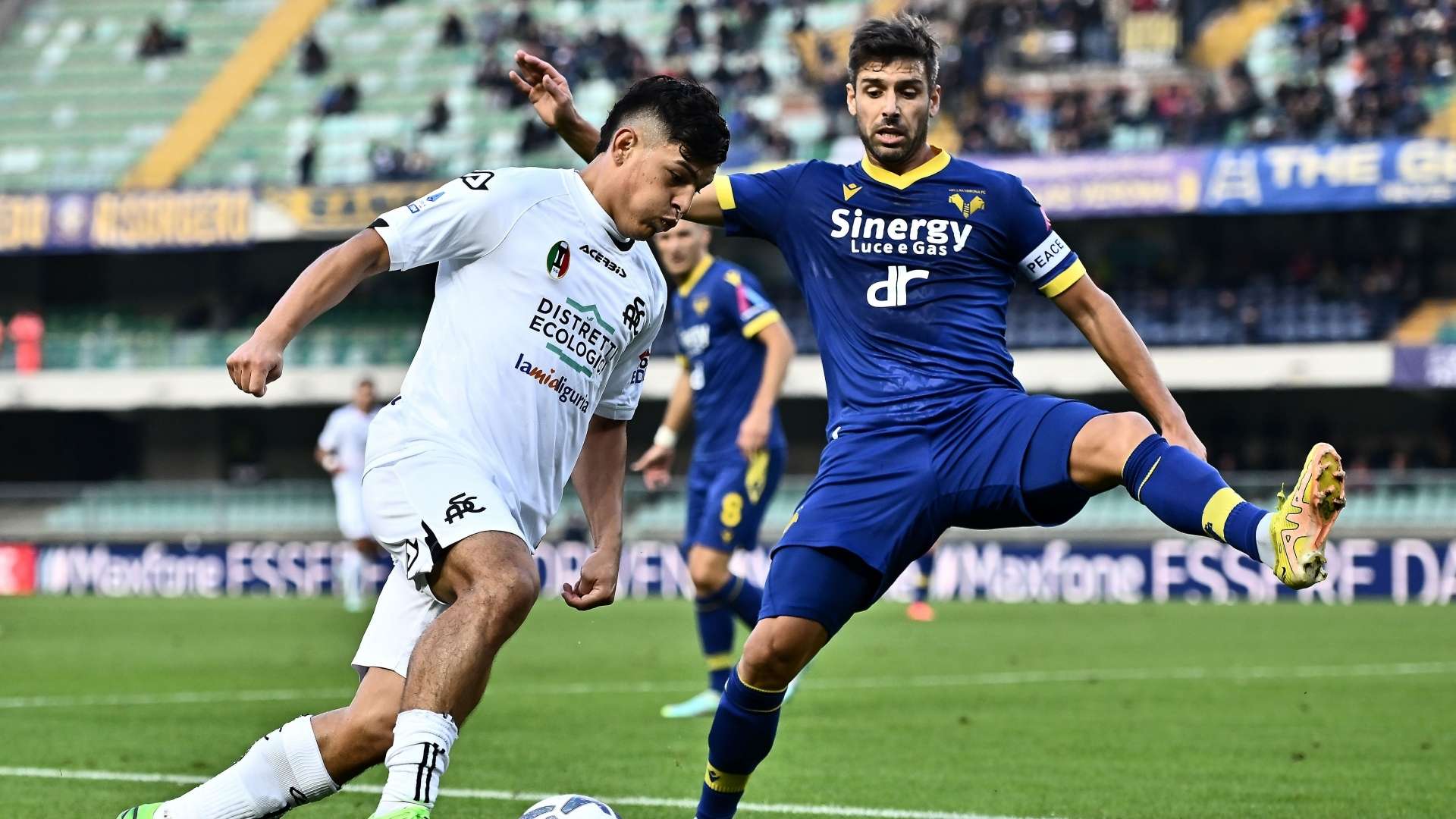 Spezia Verona