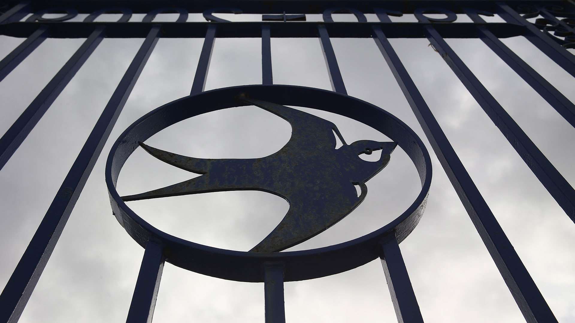 Cardiff City Ninian Park