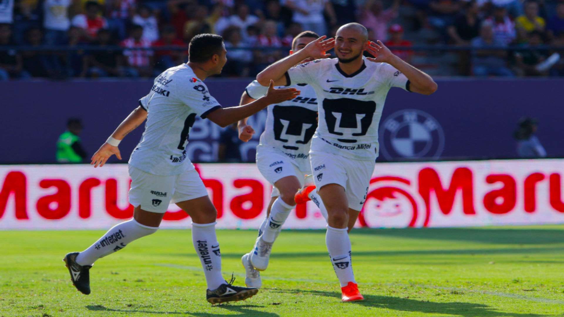 Atlético de San Luis vs Pumas Apertura 2019