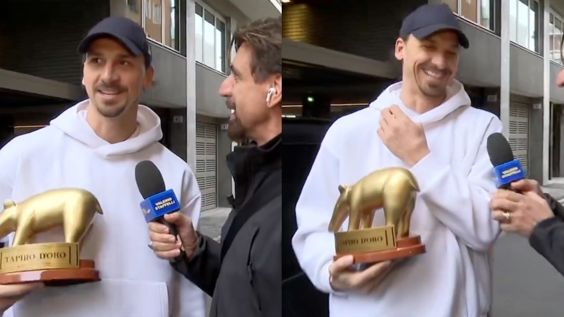 Ibrahimovic Tapiro Striscia