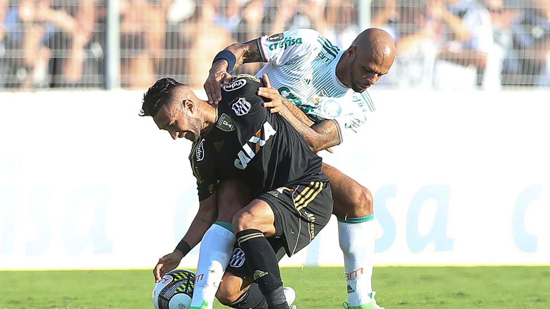 Felipe Melo Ponte Preta Palmeiras Paulista 16042017