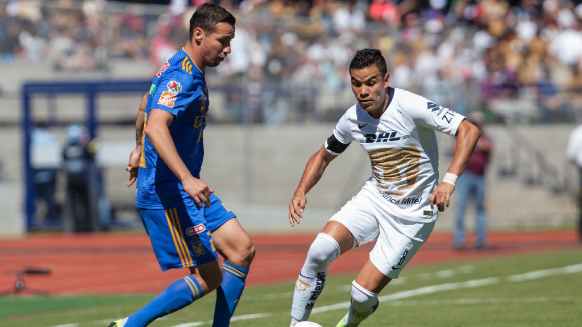 Pumas Tigres Liguilla Apertura 2018