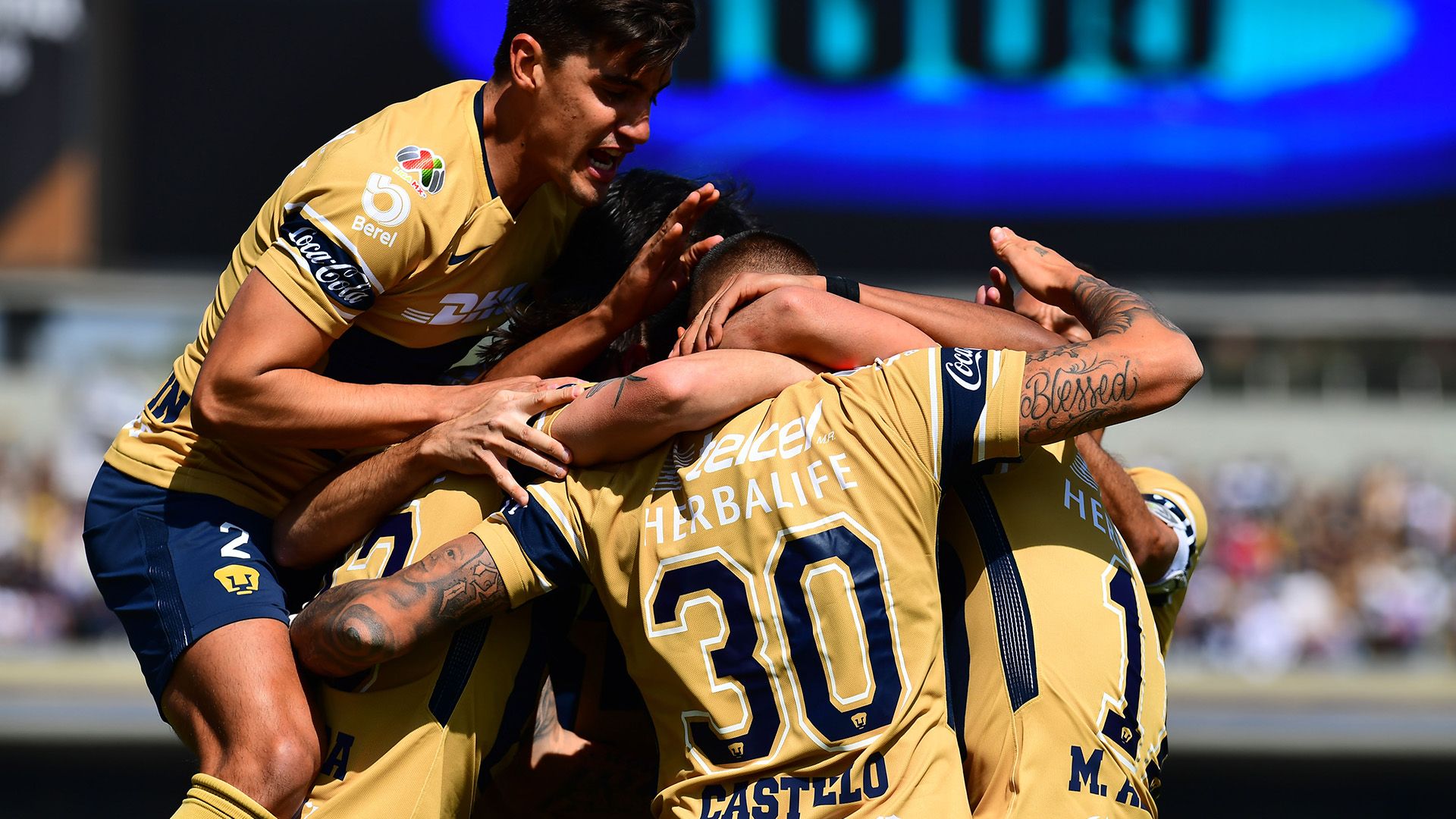 Pumas Liga MX