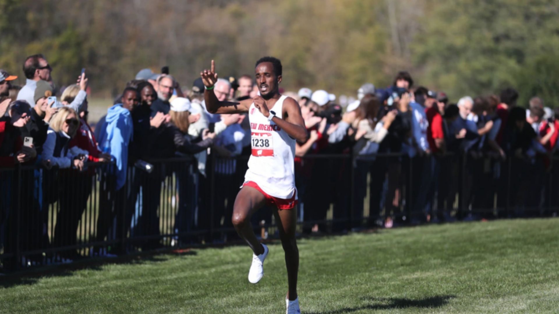 NCAA Cross-Country Championships 2024