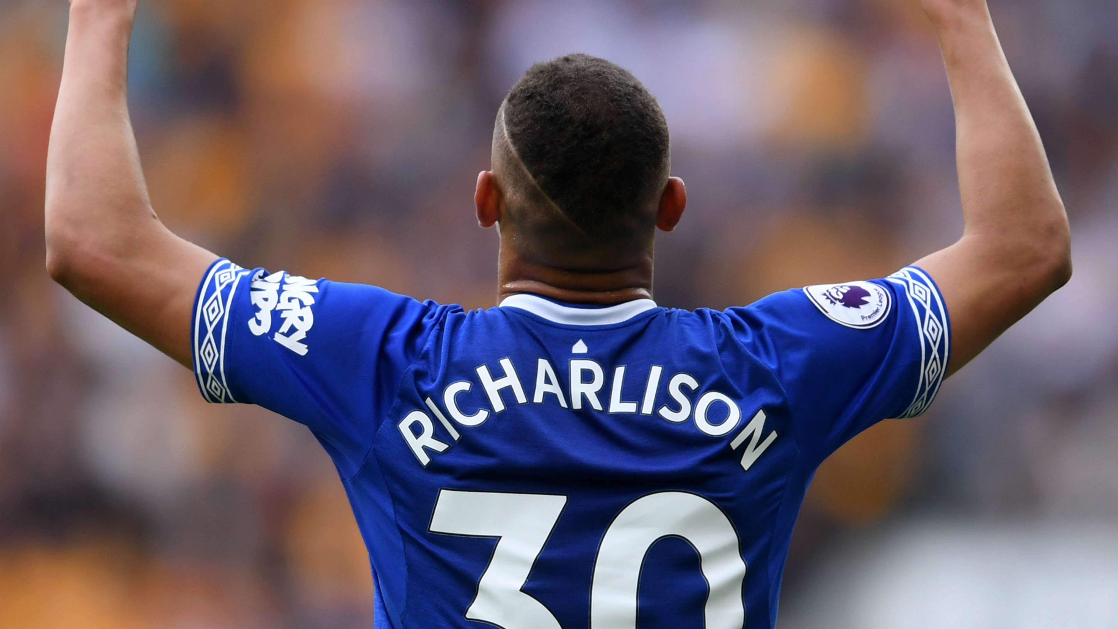 Richarlison Everton 2018-19