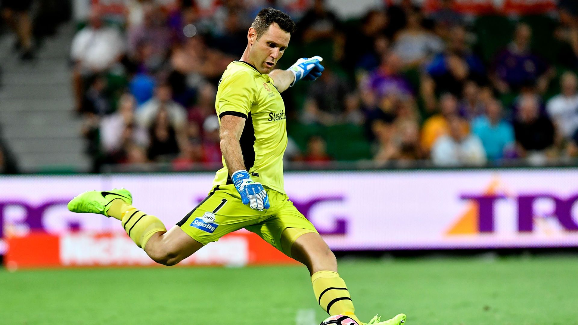 Michael Theo Brisbane Roar