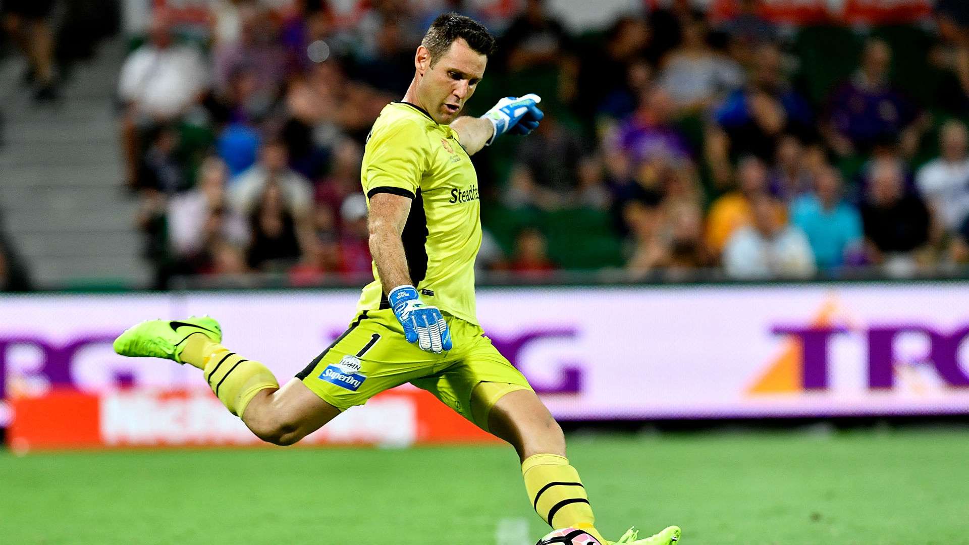 Michael Theo Brisbane Roar