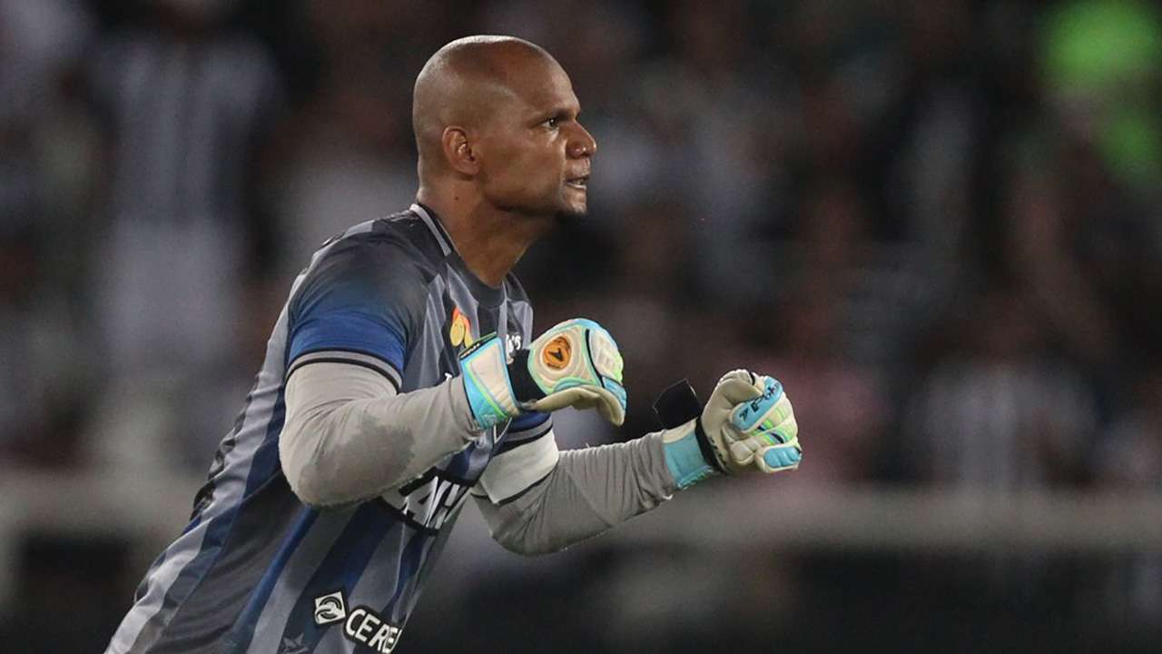 Jefferson Botafogo Paraná Brasileirão Série A 26112018