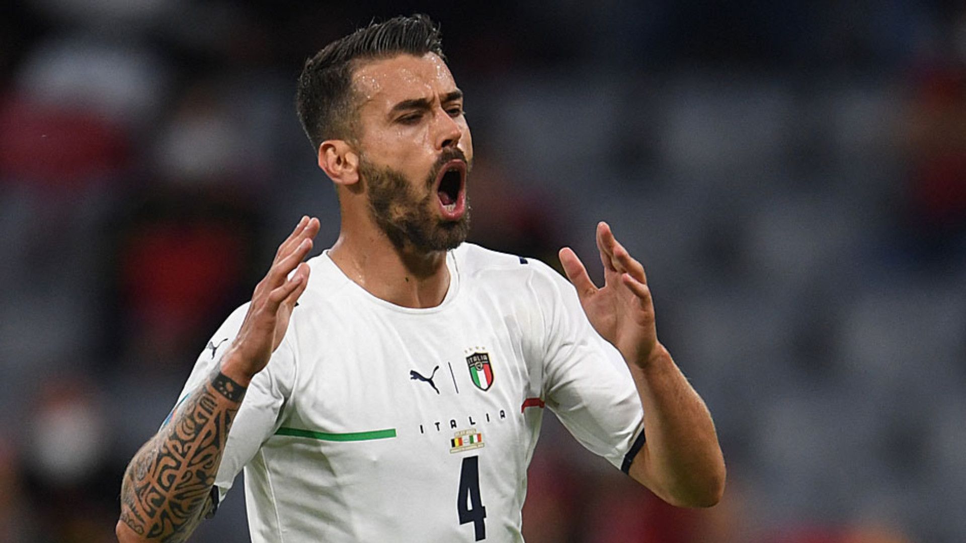 LEONARDO SPINAZZOLA ITALY
