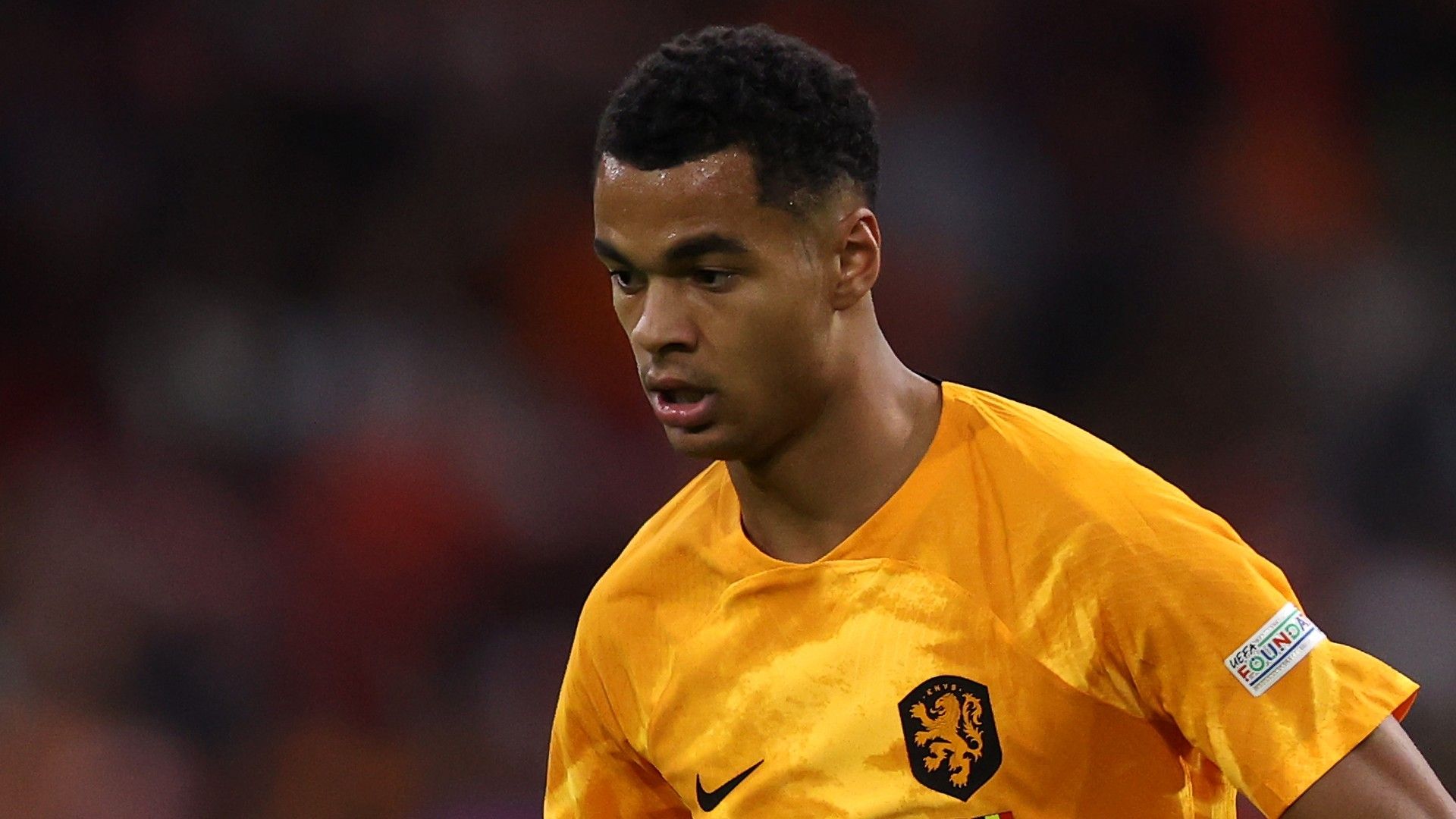 Cody Gakpo Netherlands 2022