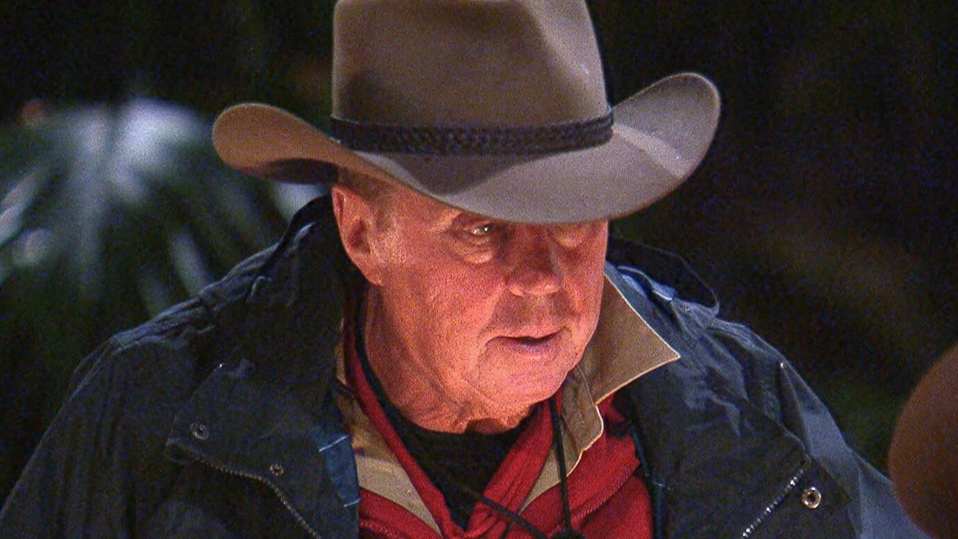 Harry Redknapp I'm a Celeb