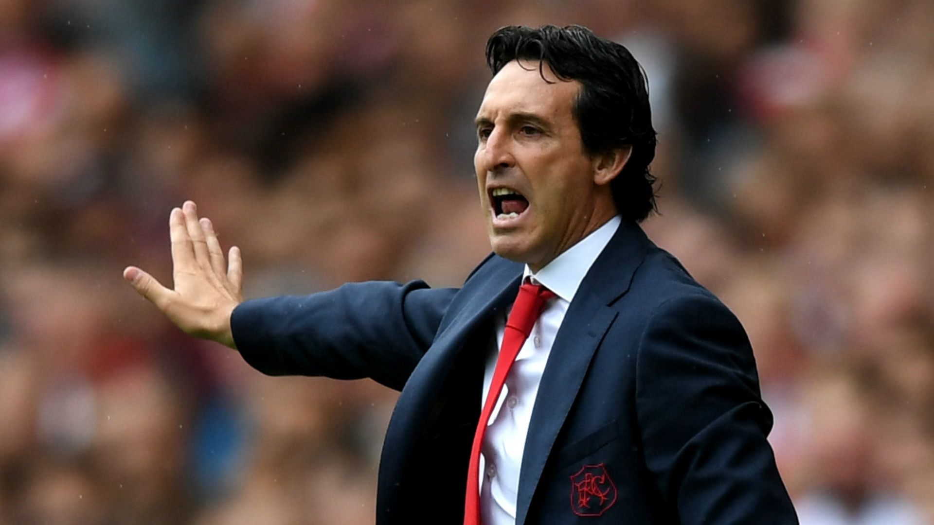 Unai Emery Arsenal 2018-19