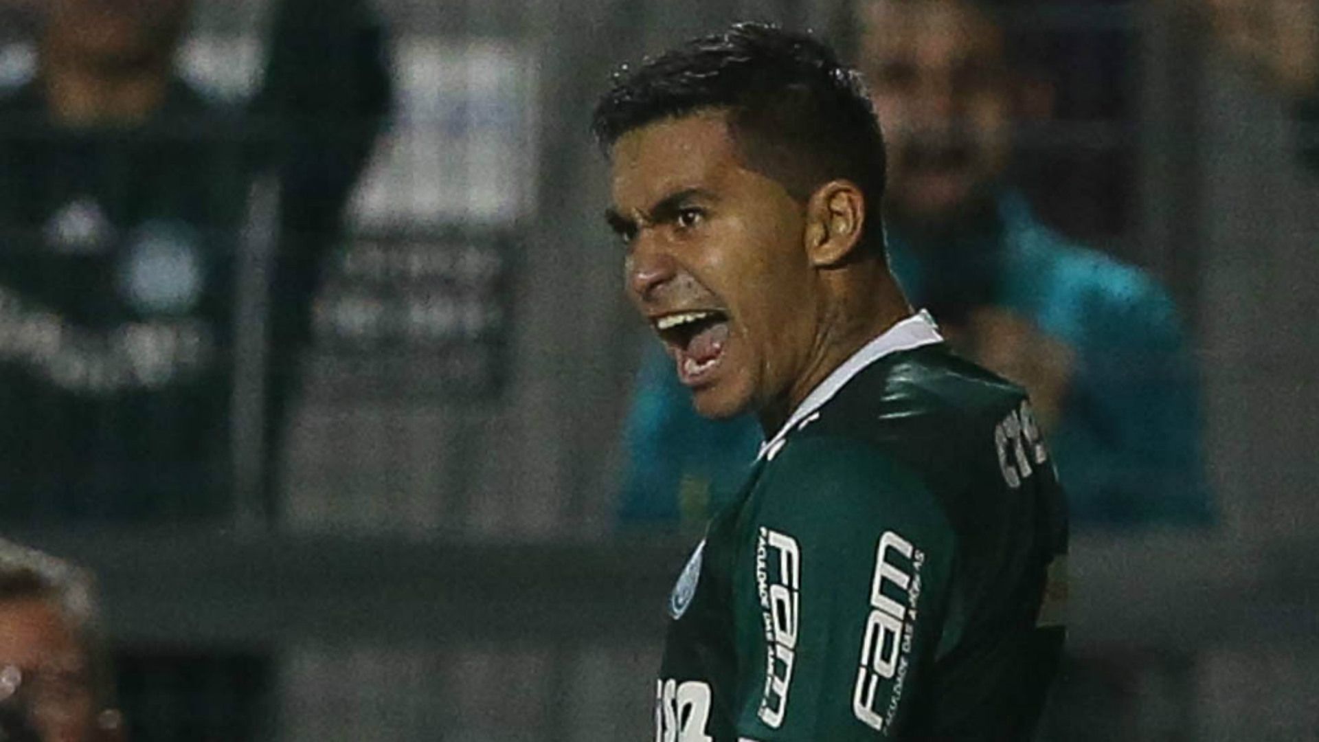 Dudu - Palmeiras - 7/04/2017