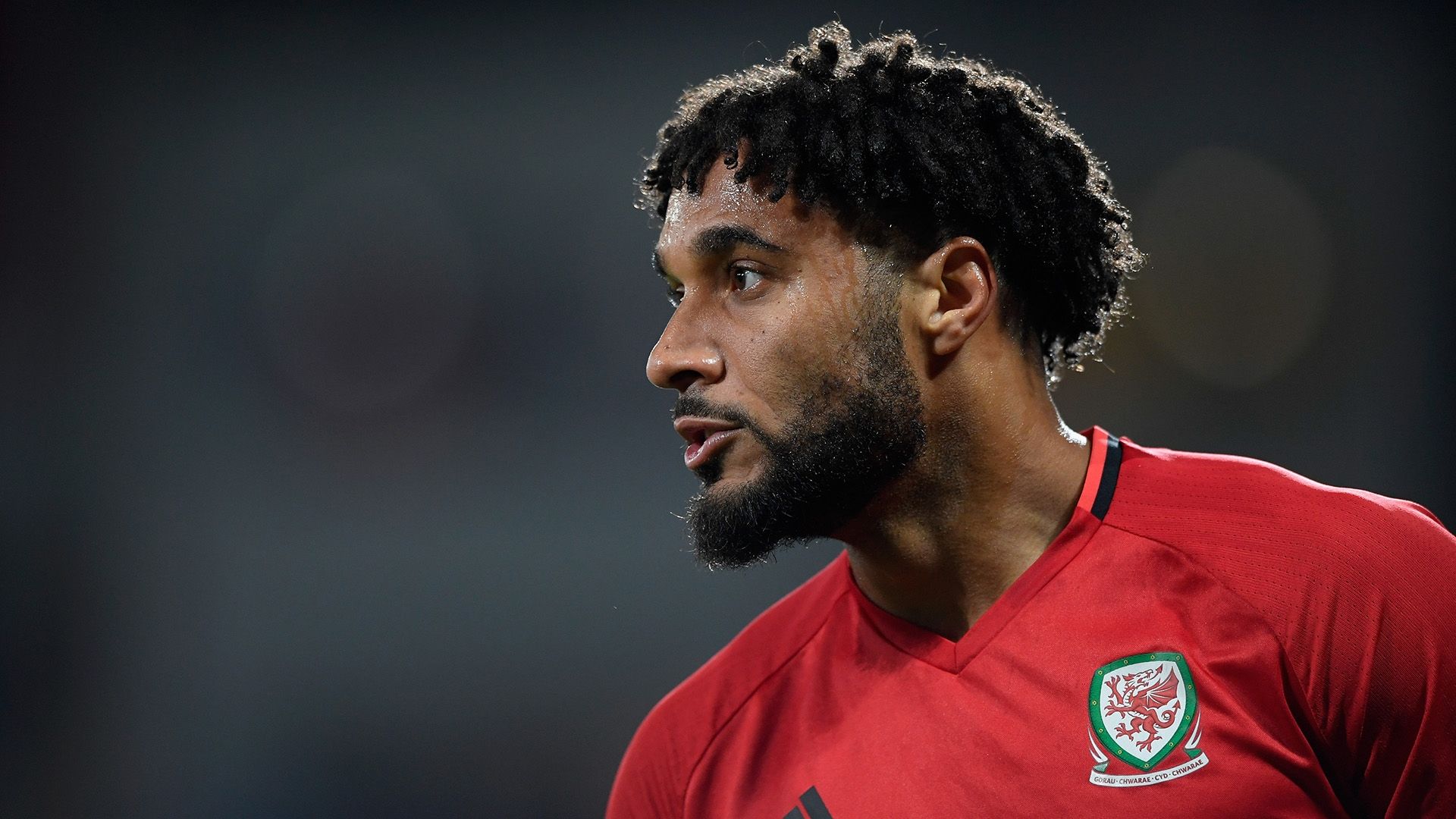 Ashley Williams Wales 2018