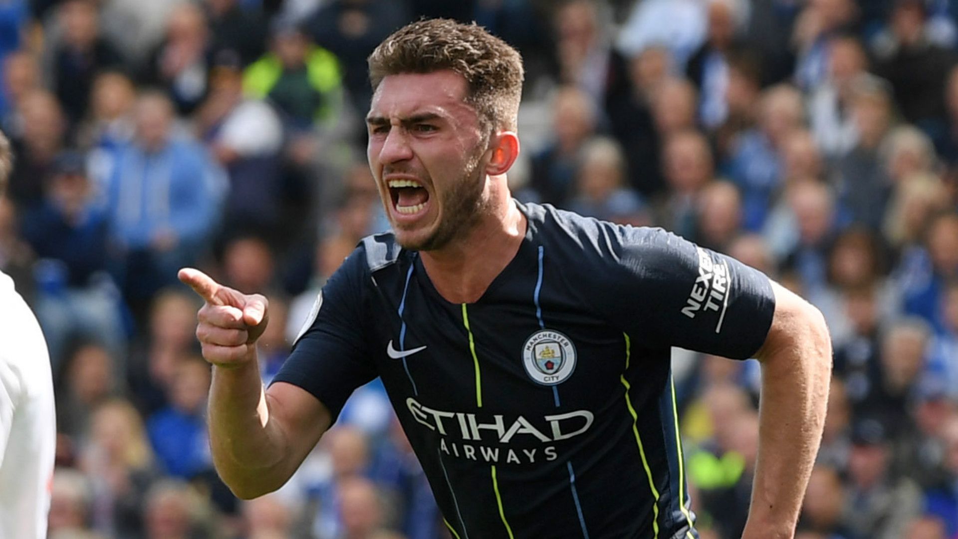 Aymeric Laporte Manchester City 2018-19