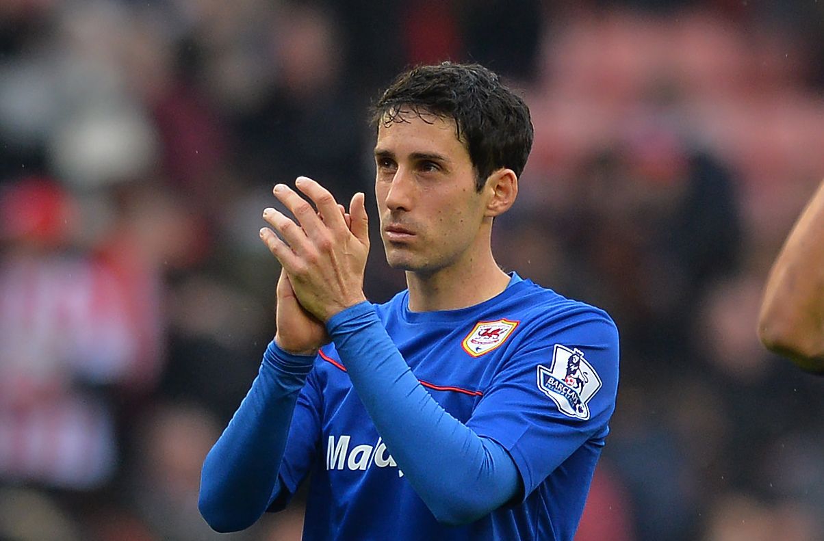 Cardiff City midfielder Peter Whittingham