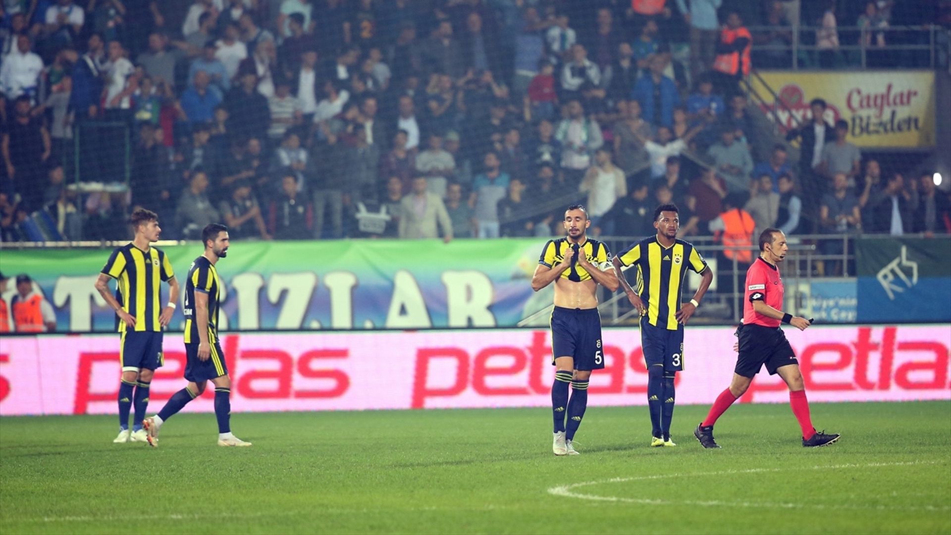 Fenerbahce 9302018