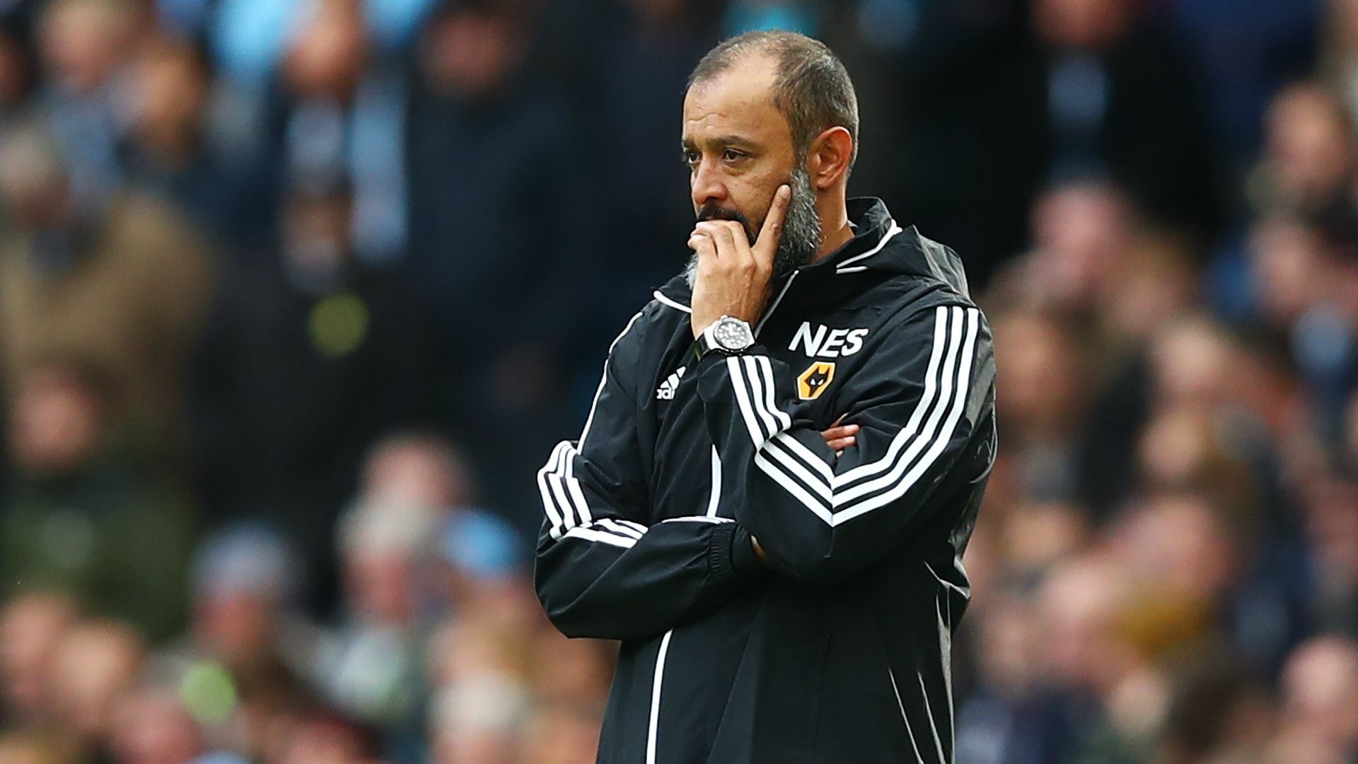 Nuno Wolves