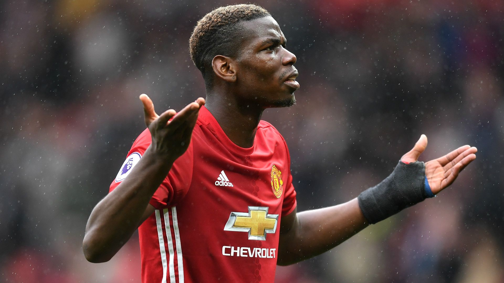 paul pogba - cropped