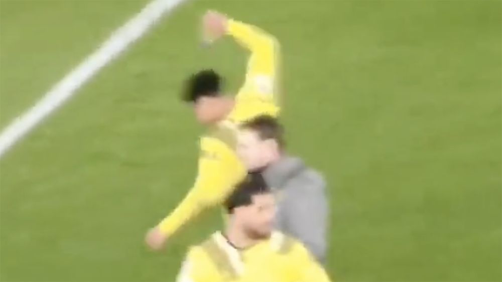 bellingham water bottle