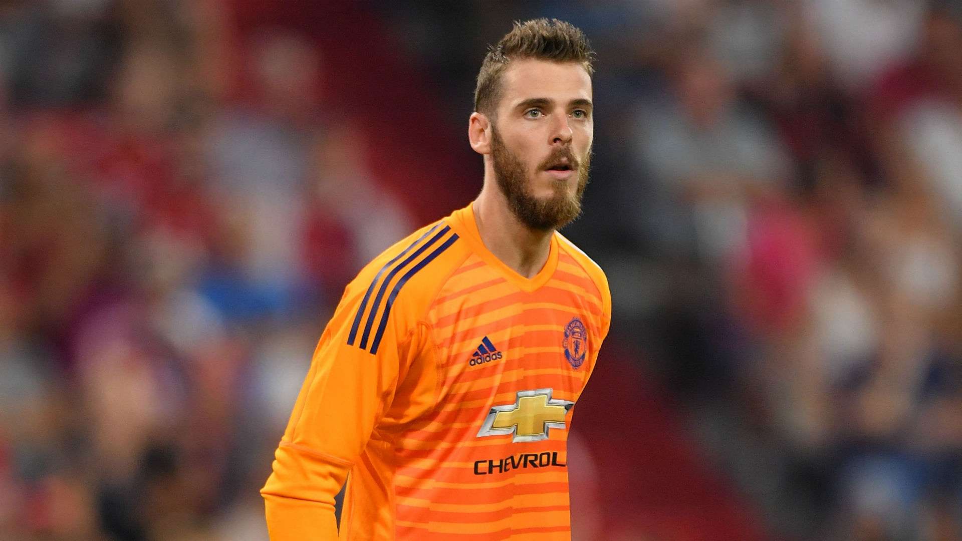 David de Gea Manchester United 2018-19