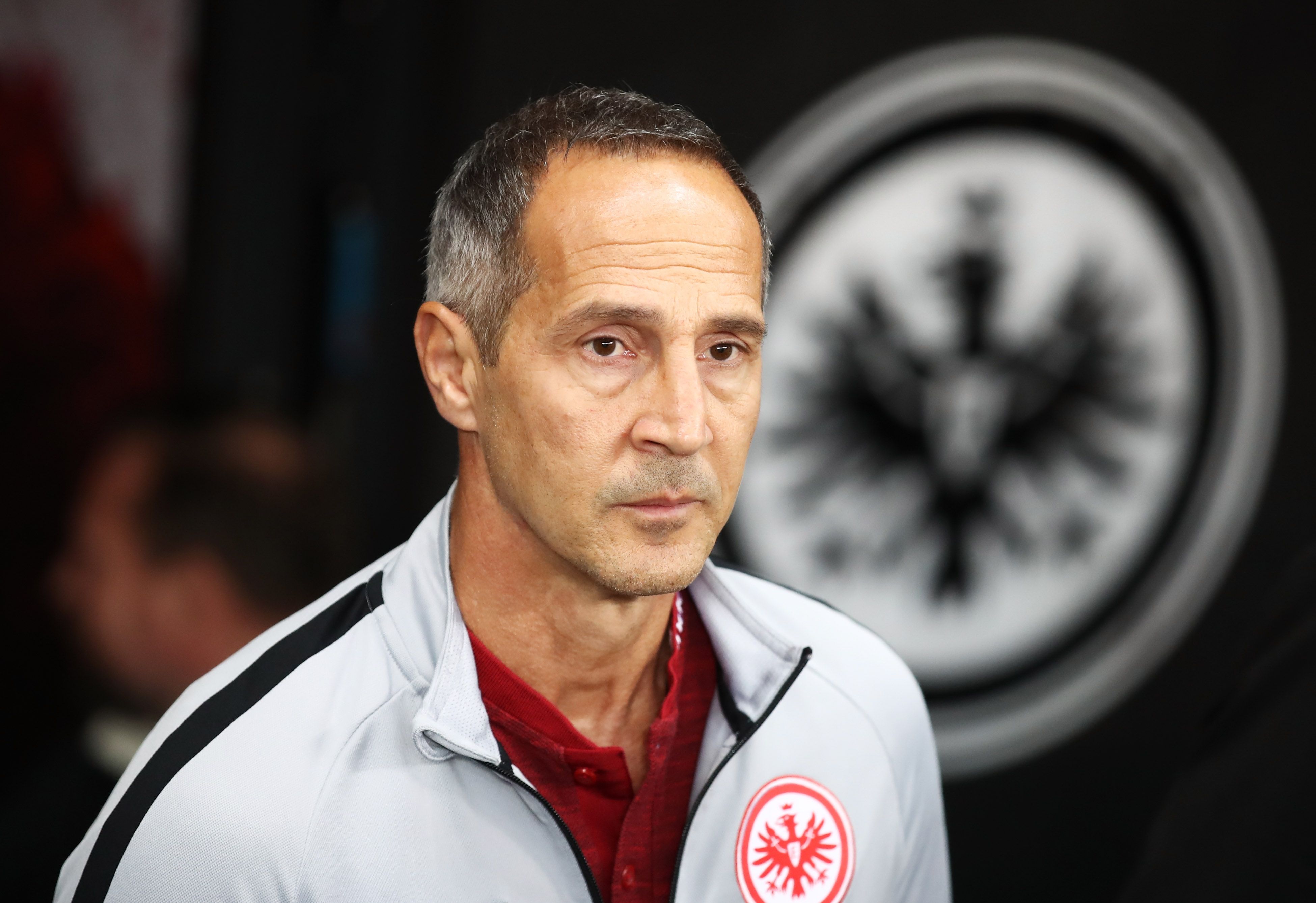 Adi Hütter Eintracht Frankfurt