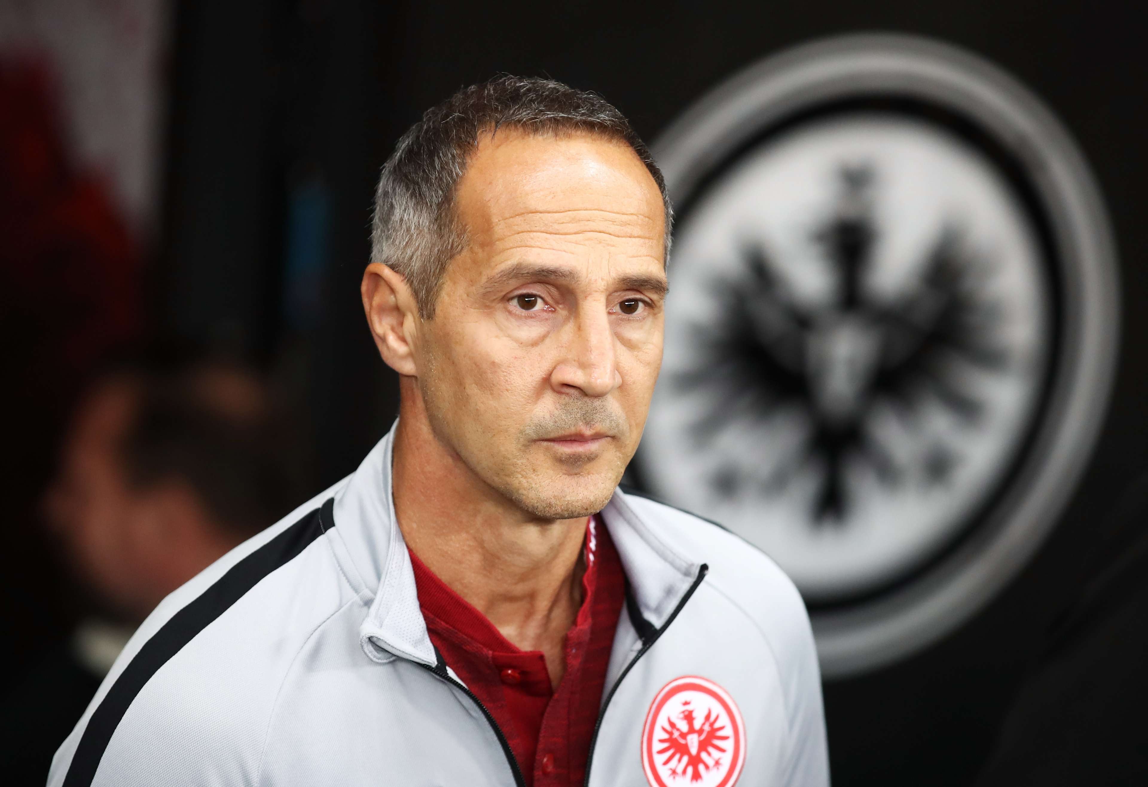 Adi Hütter Eintracht Frankfurt